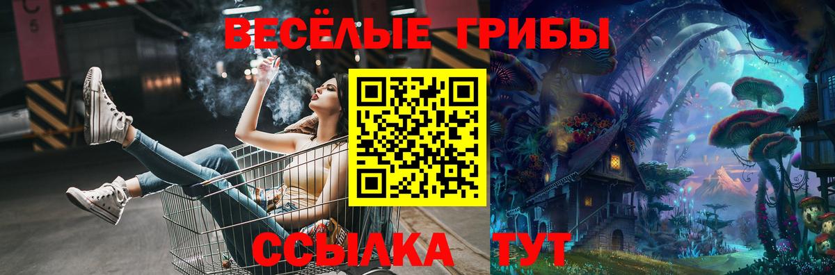 Галлюциногенные грибы мицелий Орёл